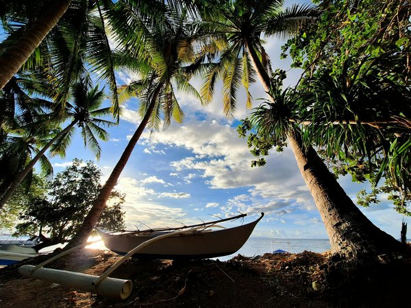 Quels sont les avantages de louer une maison de vacances en Provence avec des ateliers de peinture et des balades en calèche?
